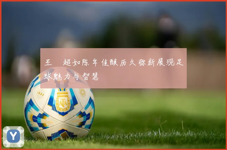 王燊超如陈年佳酿历久弥新展现足球魅力与智慧