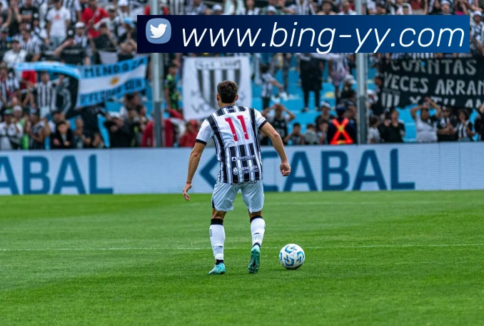 App Interface Preview